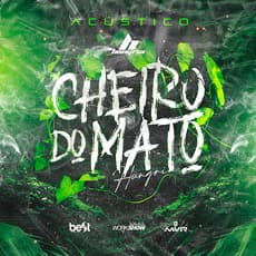 Cheiro do Mato - Acústico